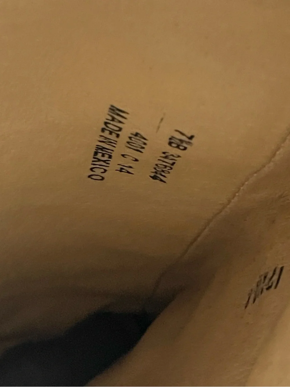 Frye sleek black